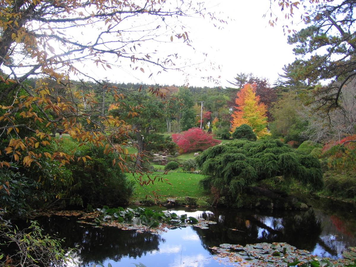 162AzaleaGarden.jpg