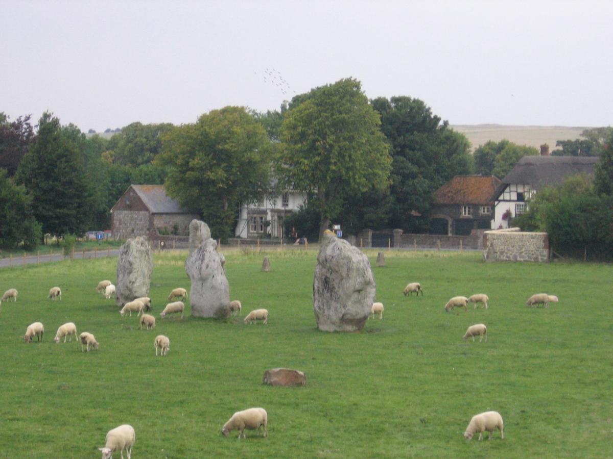 1AveburyStonesSheep.jpg.jpg