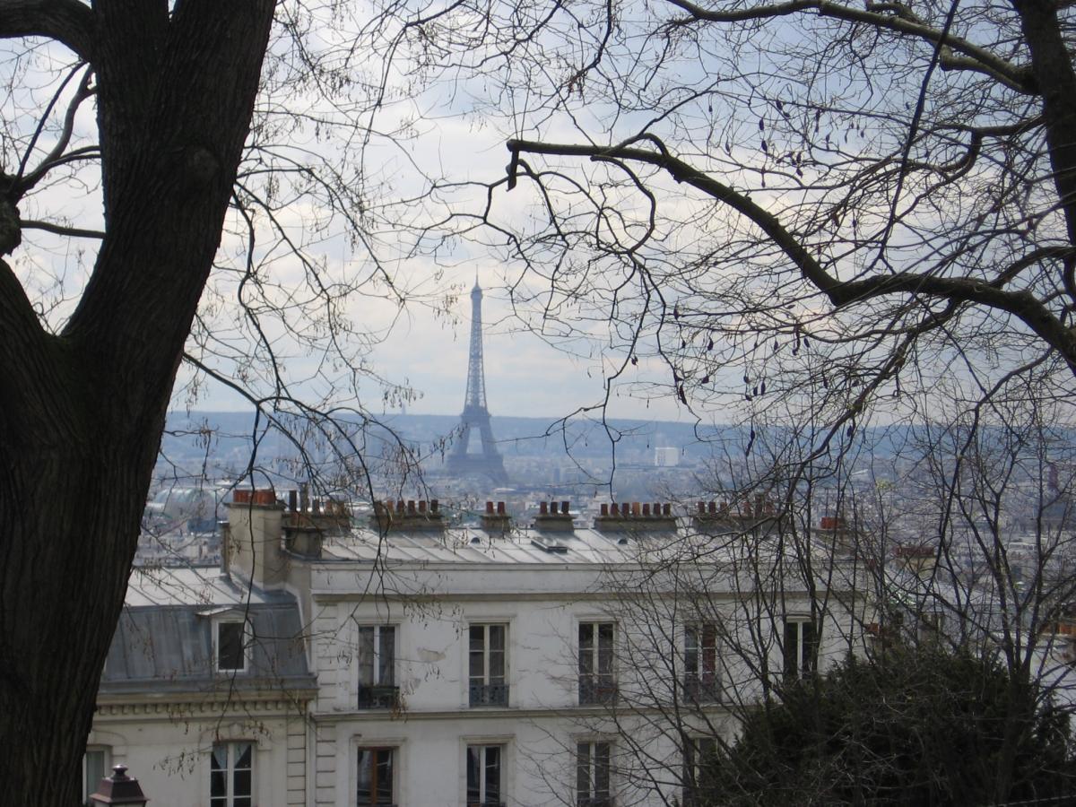 6ViewfromMontmartre.jpg.jpg